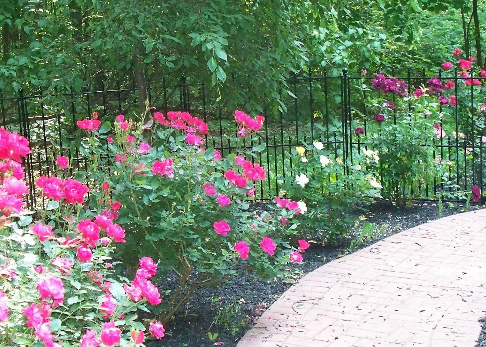 Bear House Bed And Breakfast Dover Экстерьер фото